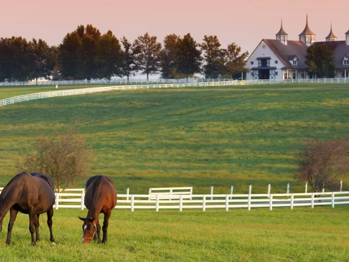 Kentucky horse country fence and pasture near Lexington
